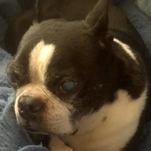 Meet your Posher, Lee